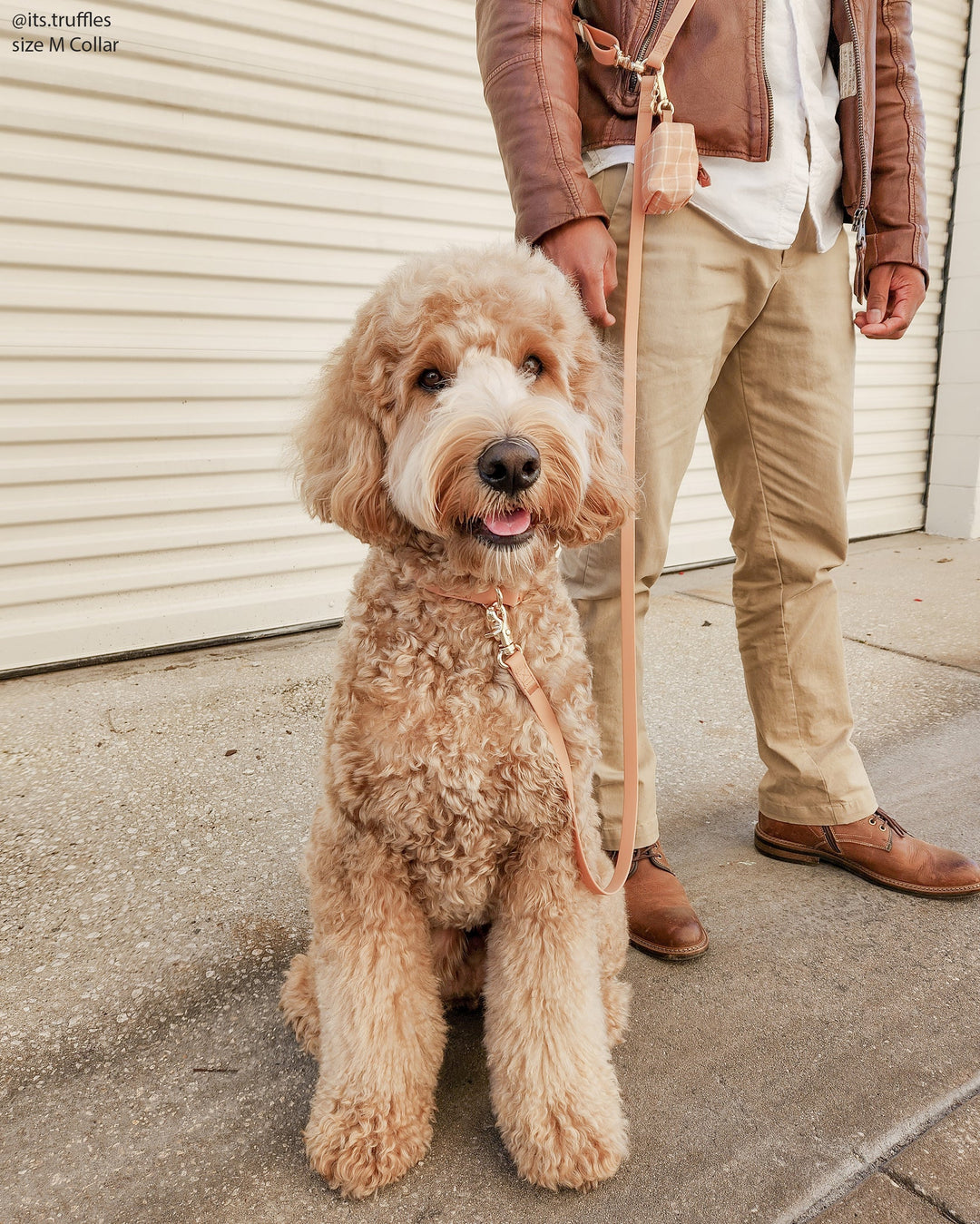 Shop Sunny Tails - Chai Brown Waterproof Dog Collar