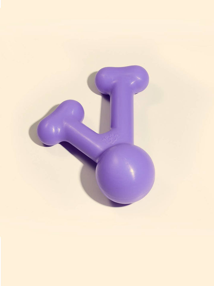 Dog Toy: Silicone Chew Toy