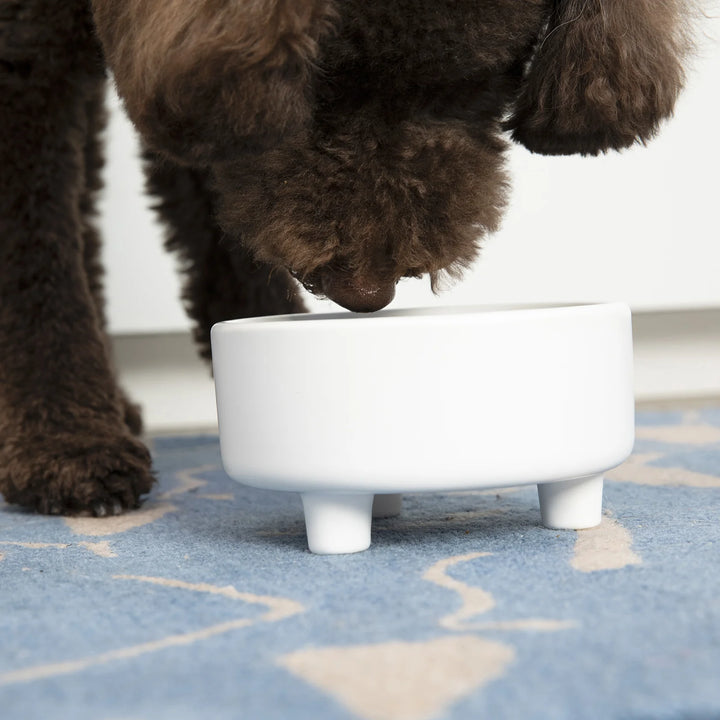 Waggo - Uplift Ceramic Dog Bowl