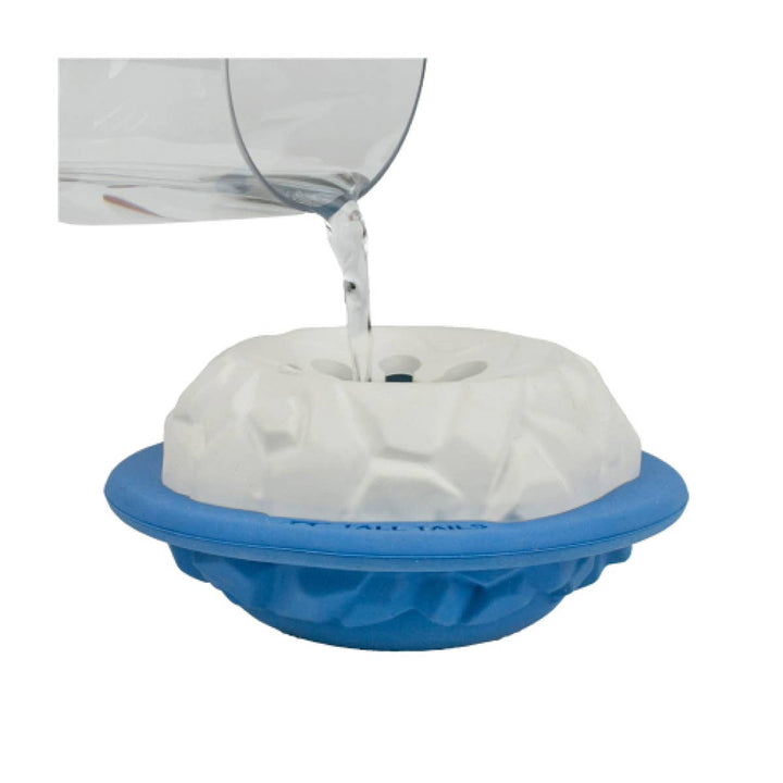 Dog Toy: Rubber Polar Freezable Enrichment Toy