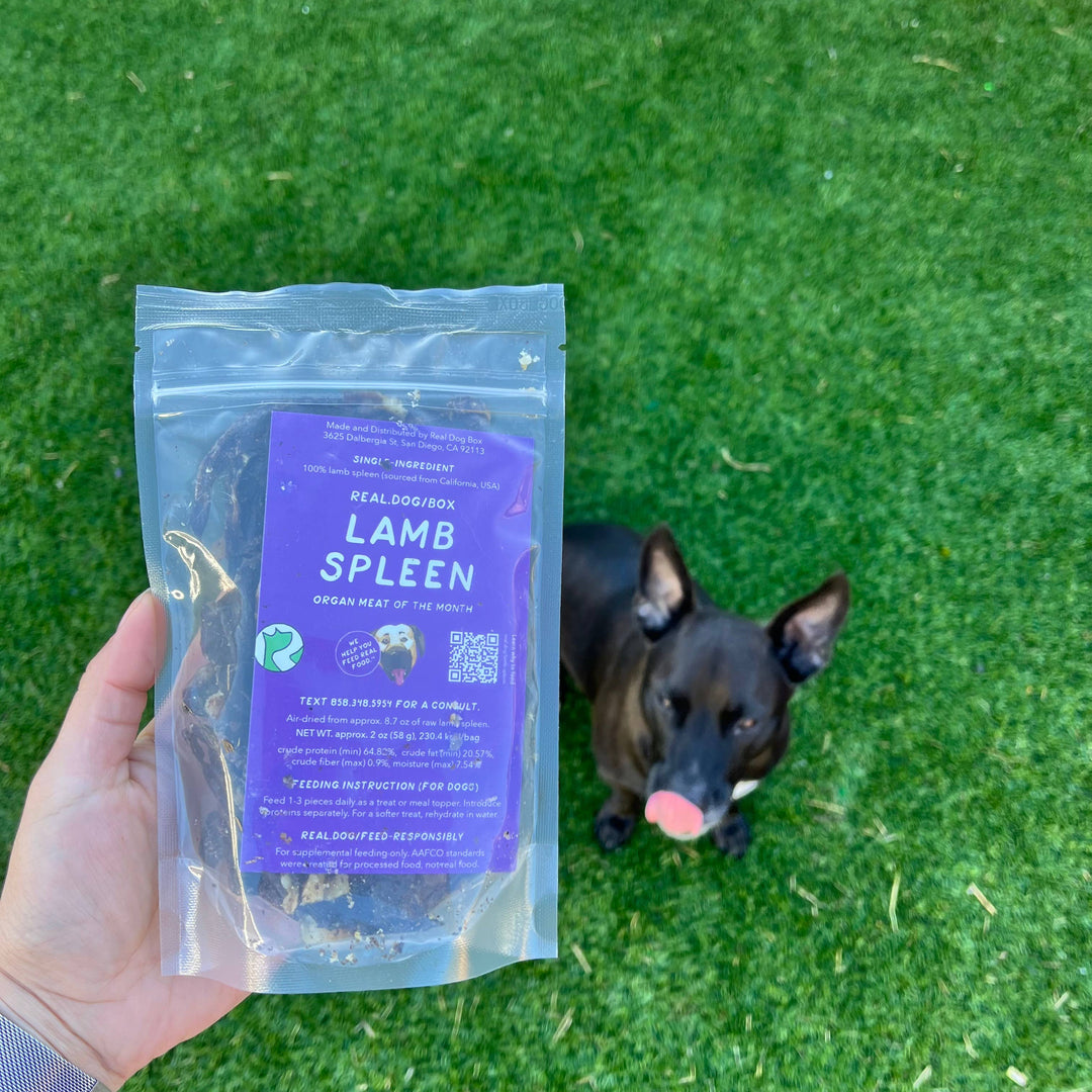 Real Dog Box - Air-Dried Lamb Spleen