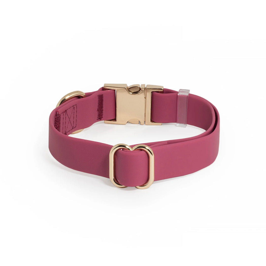 Shop Sunny Tails - Mulberry Burgundy Waterproof Dog Collar